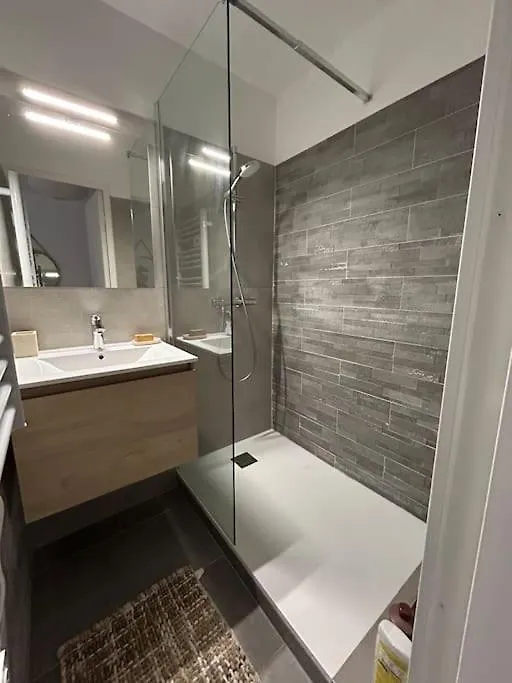 Appartement En Face Mer Six-Fours-les-Plages Apartment